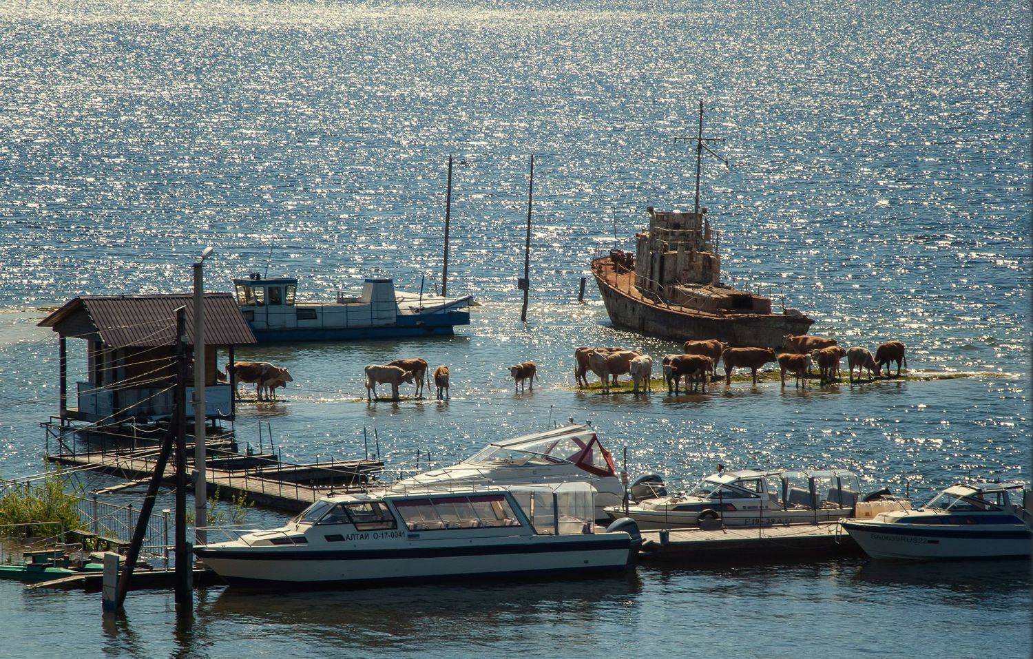 , Любовь Фурс