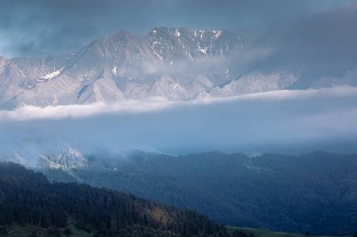 Парящие в воздухе