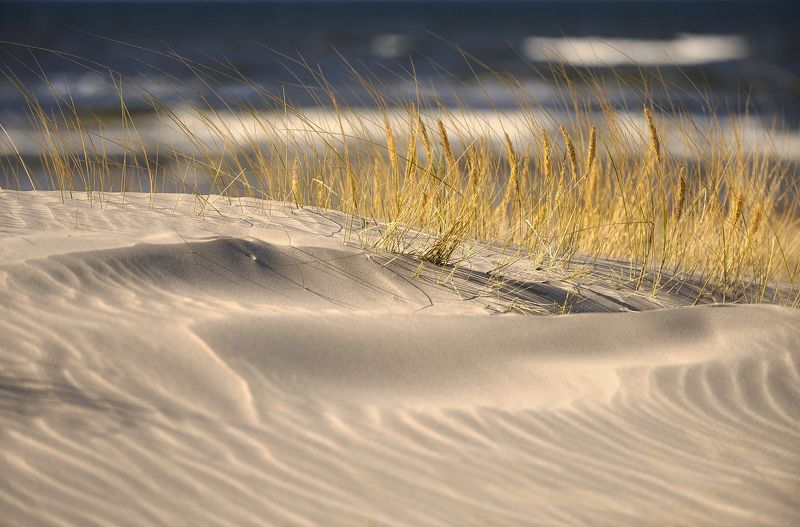 On the dune фото превью