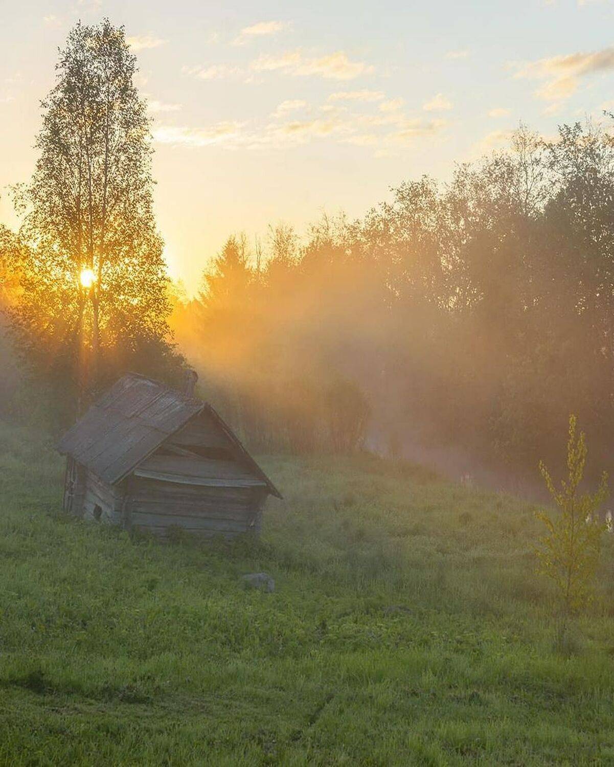 Деревня, рассвет, лето, река, баня, Петр Косых