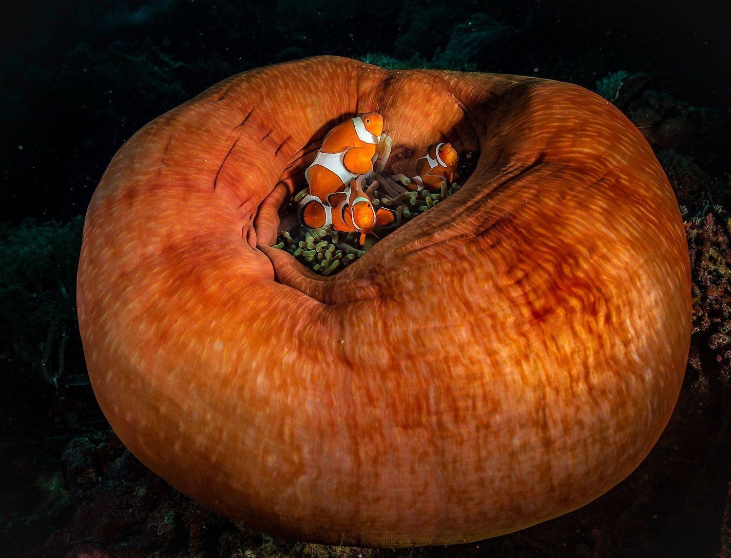 , Юрий Журавлев