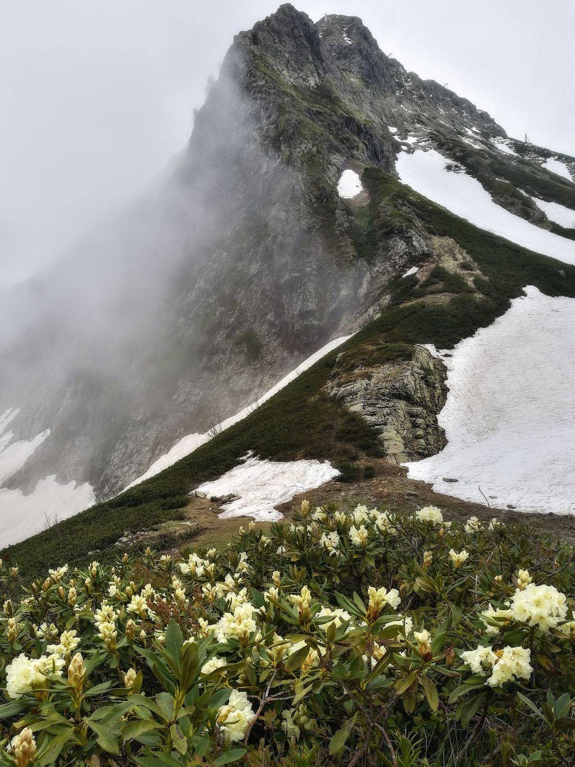 , Сергей Сергеев