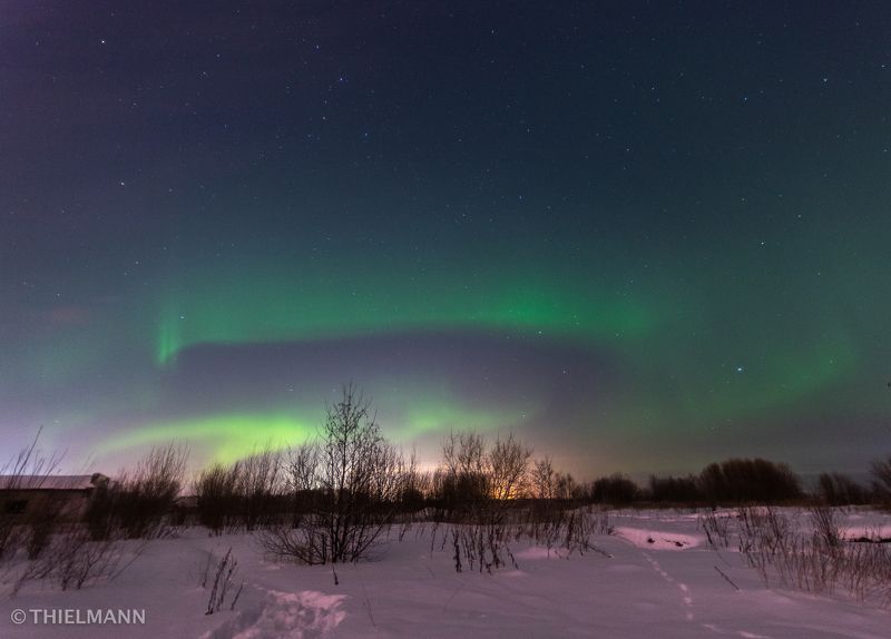 aurora, north, winter, frost, night, nightlights, sky, nightsky, light  фото превью