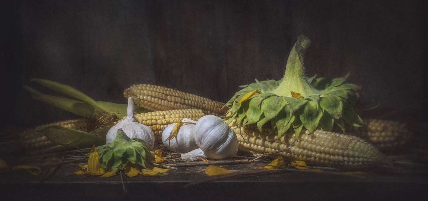 август,кукуруза,корзина,старый,деревенский,подсолнух,чеснок,жёлтый,початки, Владимир Володин