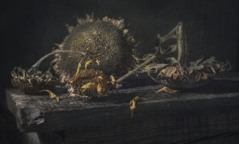 О прошлом фото превью