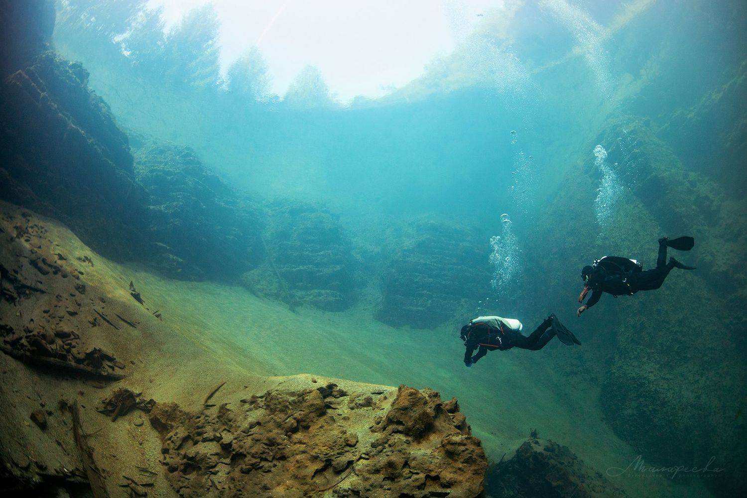 подводное фото, налим, вода, дайвер, источник, Малафеева Елена