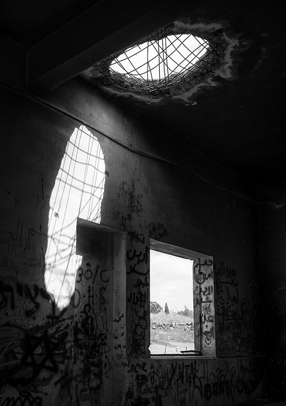 War remembrance фото превью