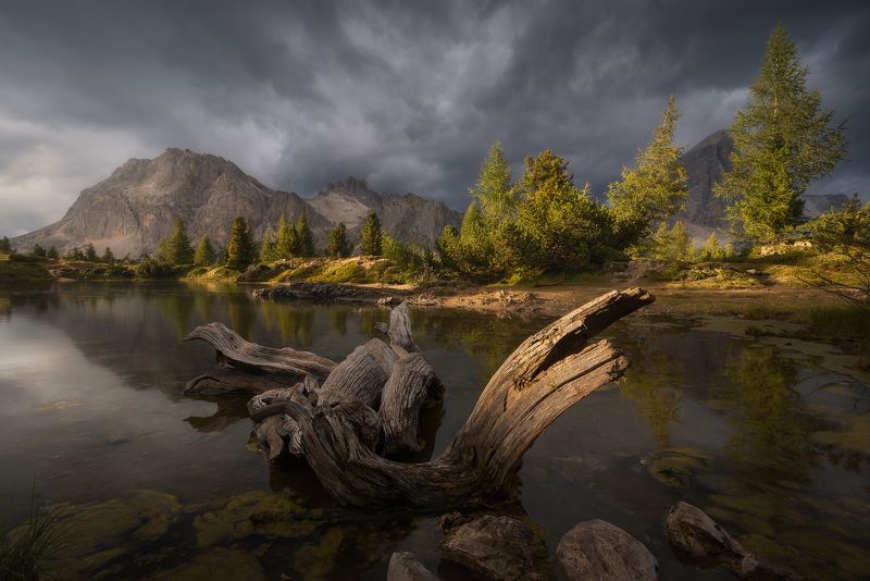 Dragon Pond фото превью