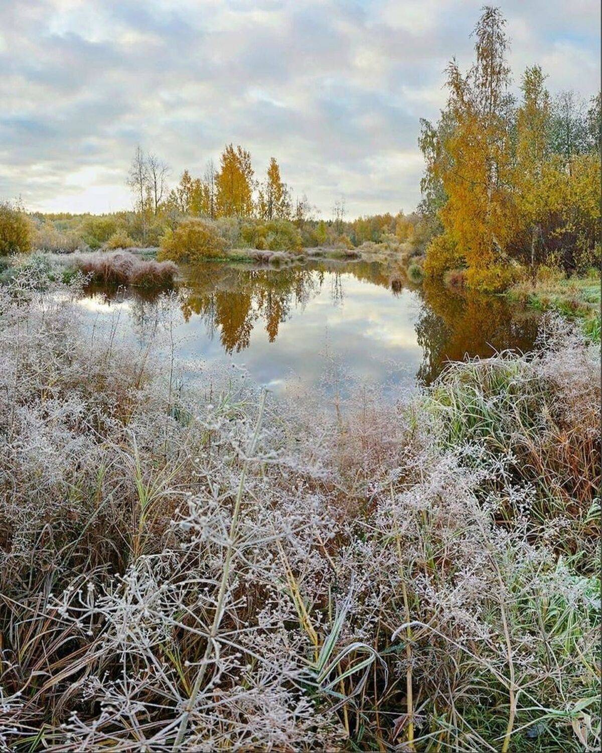 рассвет, осень, пруд, Петр Косых