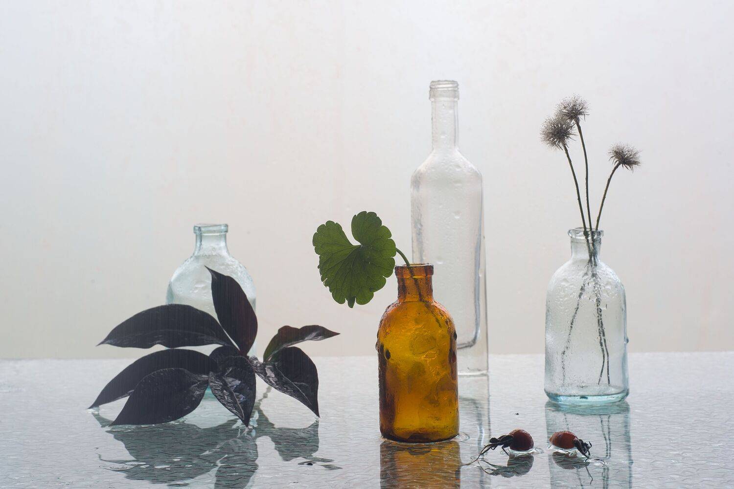 бутылочки, листочки, шиповник, вода, Оксана Евкодимова