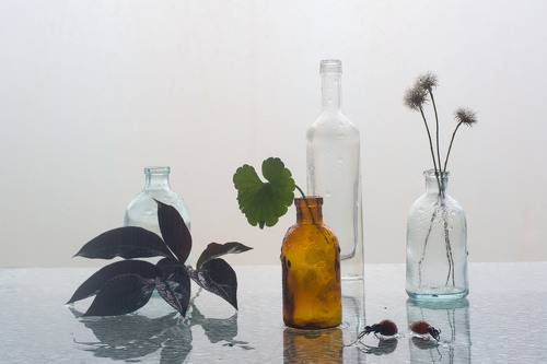 Мысли о прошедшем лете.