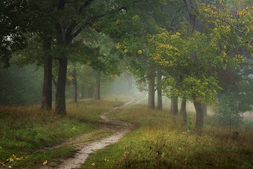 Дорога в осень