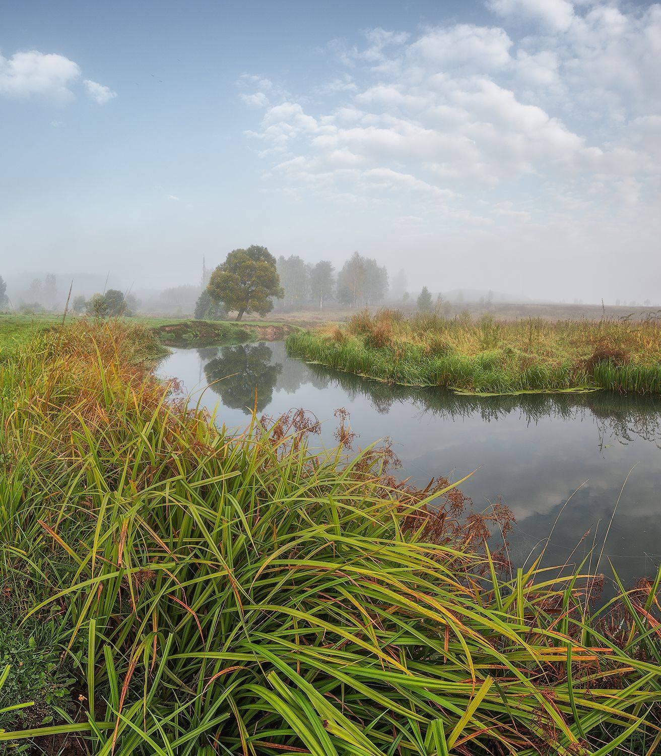 , Николай Андреев