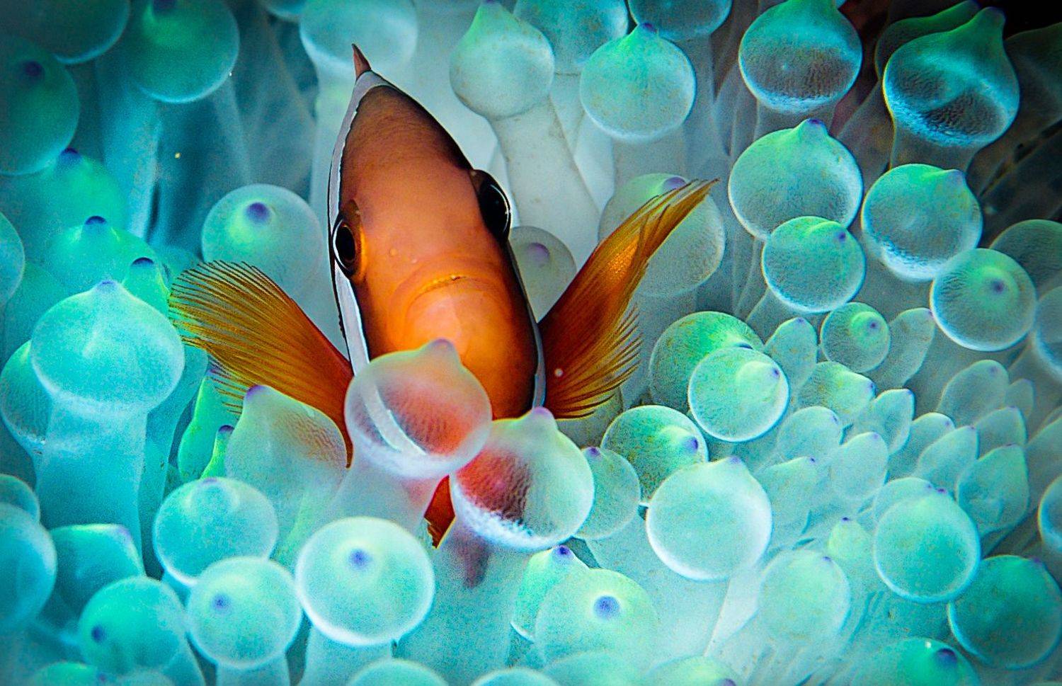 , Юрий Журавлев