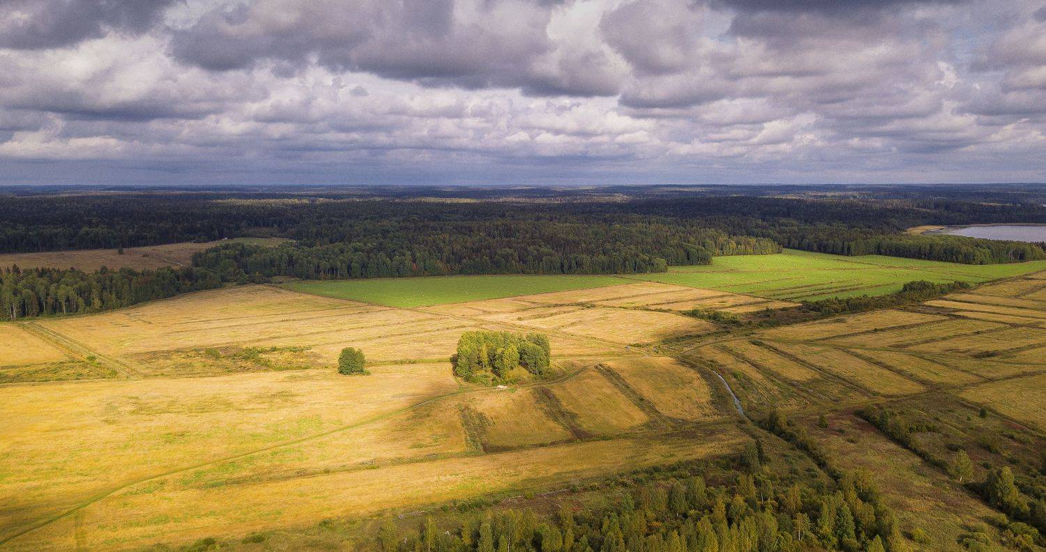 , Павел Жданов