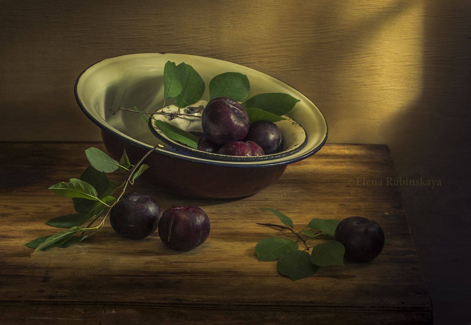 , Елена Рубинская