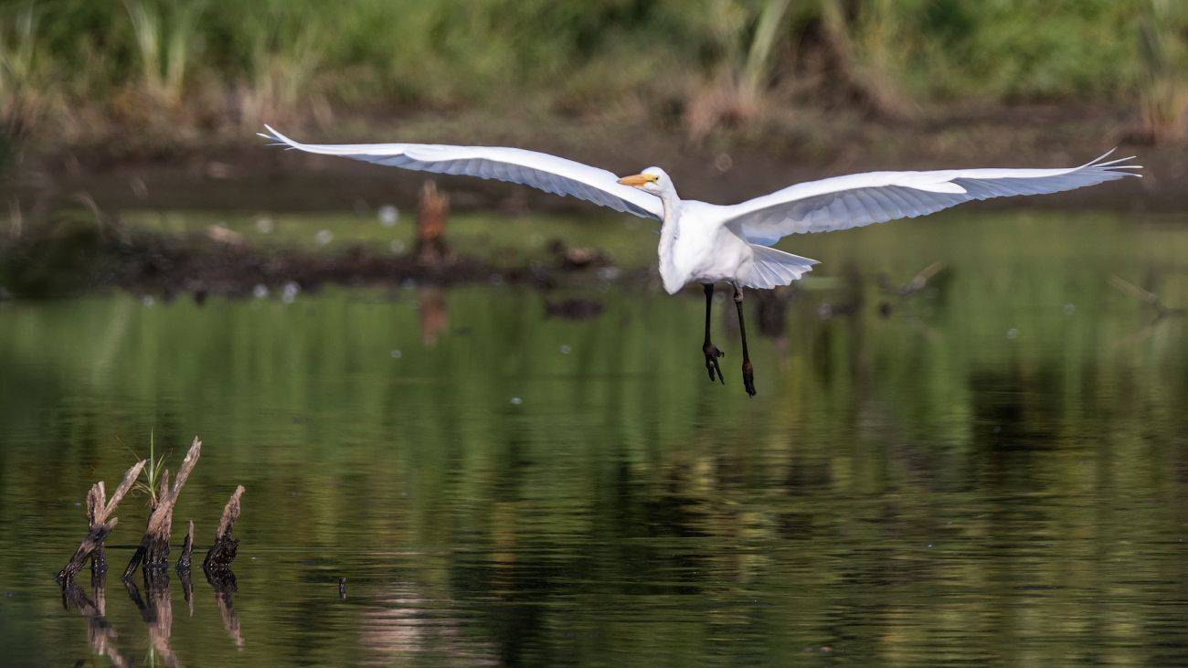, Леонид Дьяченко