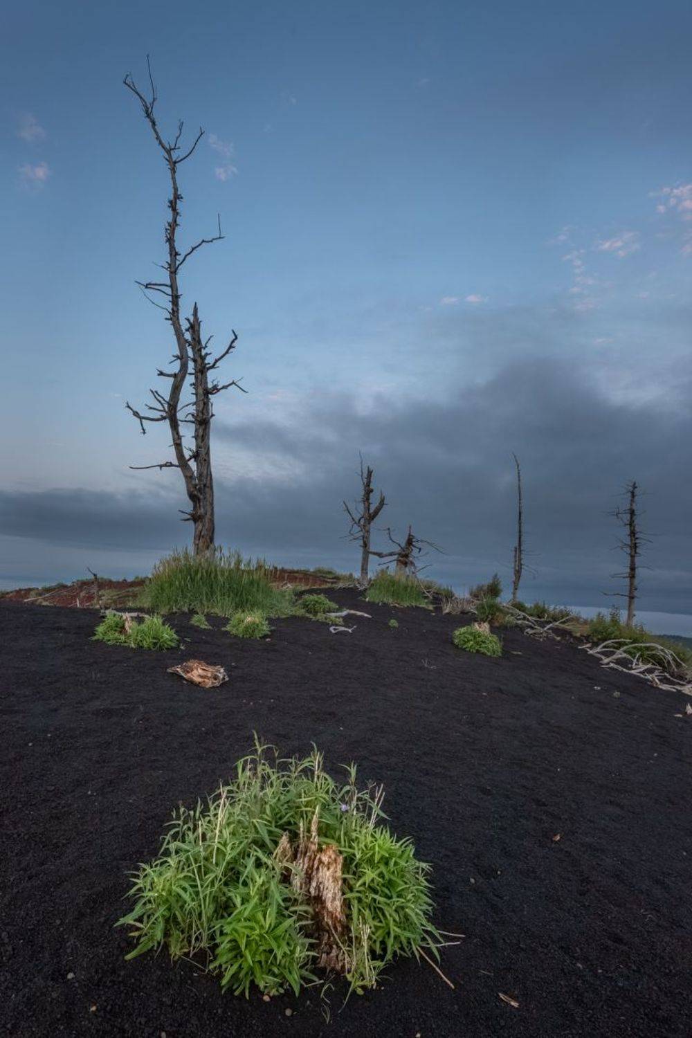 , Елена Маковоз