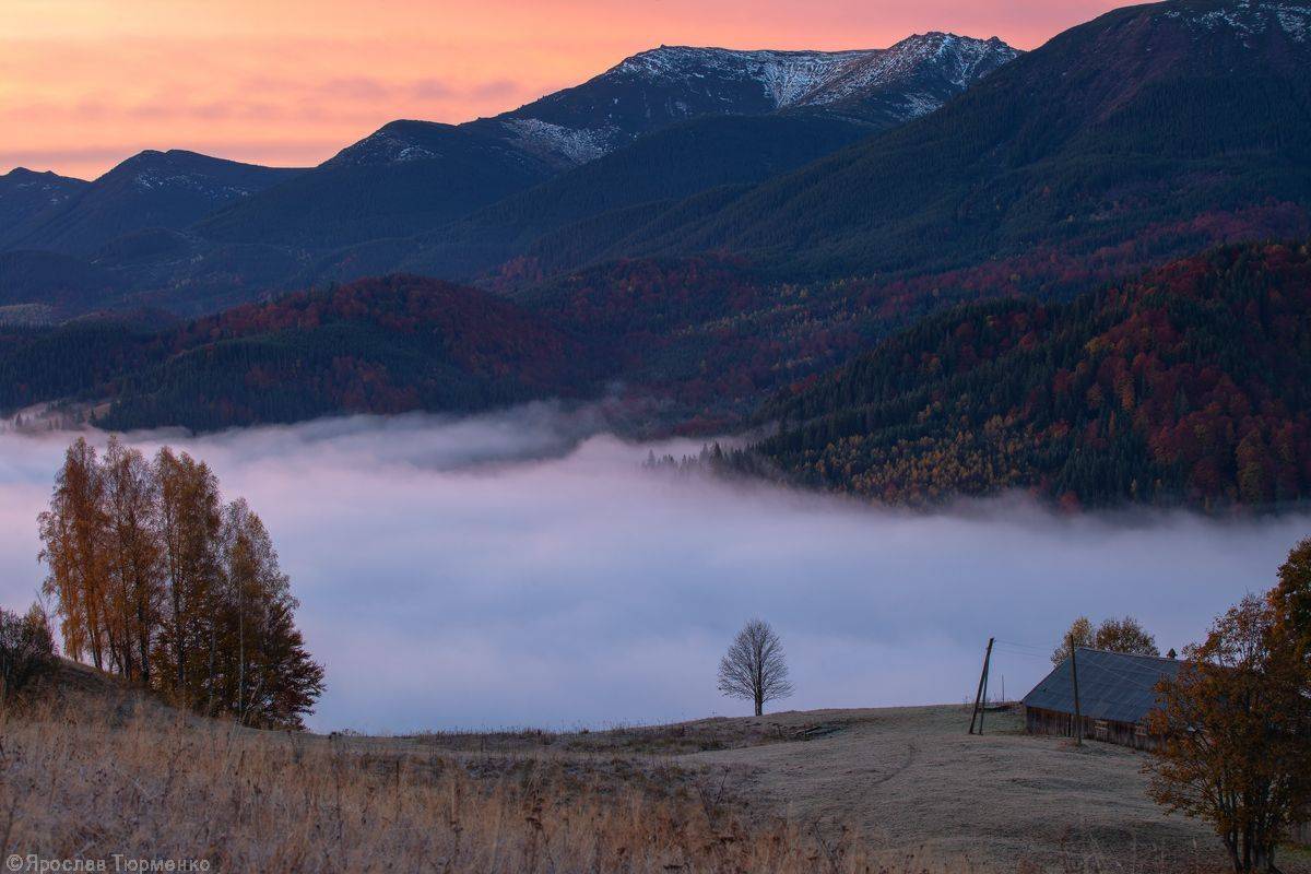 , Ярослав Тюрменко (Jaremi)