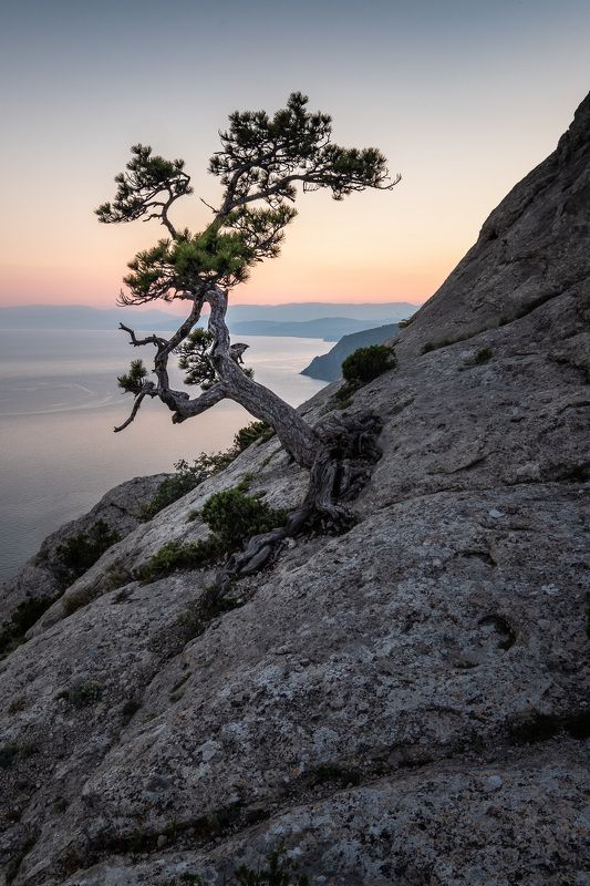 Восточная танцовщица фото превью