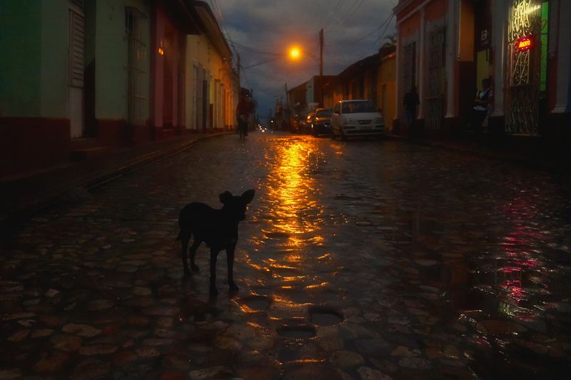 После дождя фото превью