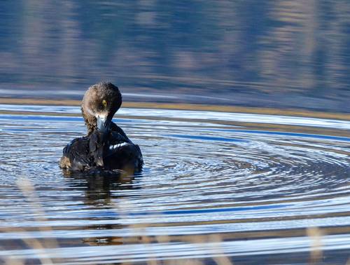 Утренний перекус