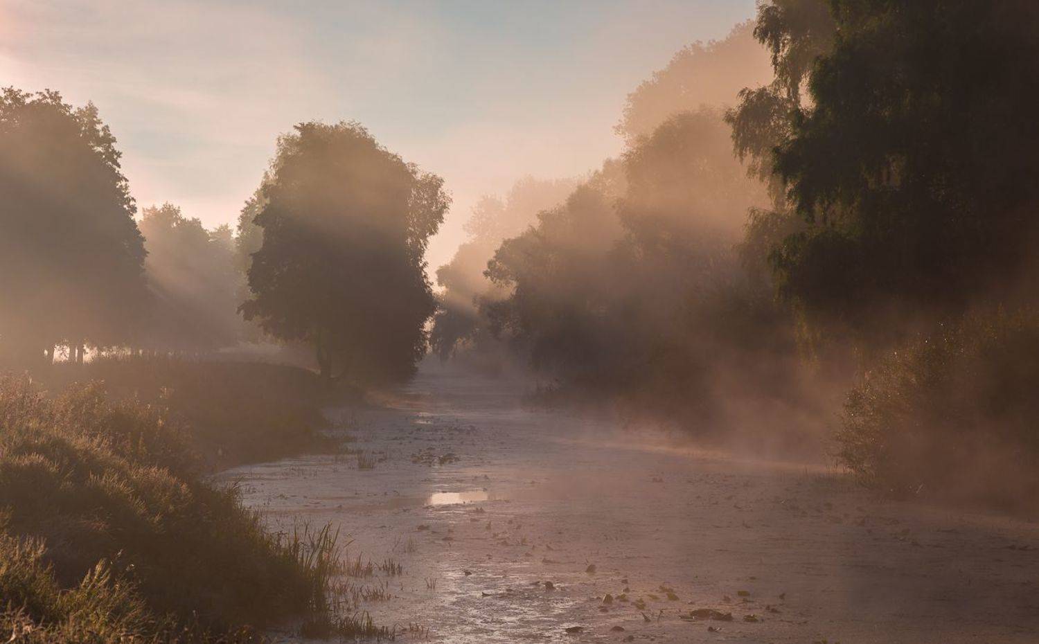 , Александр Подрез