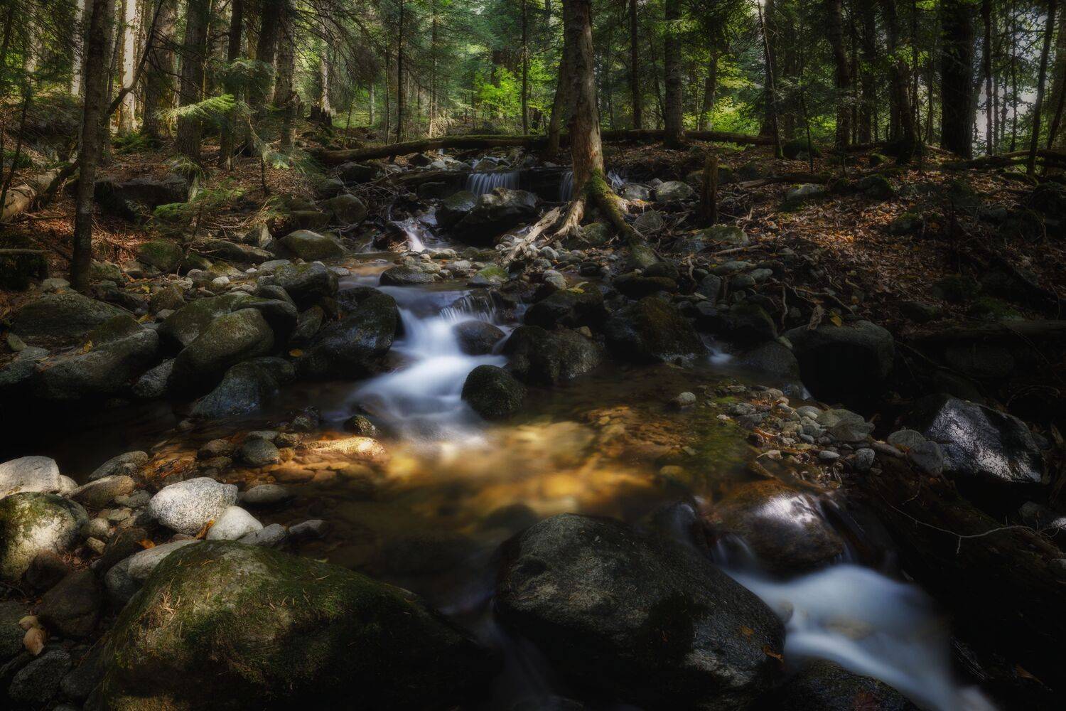 пейзаж, горы, кавказские горы, природа россии, кабардино-балкария,, ОЛЬГА КОВАЛЁВА