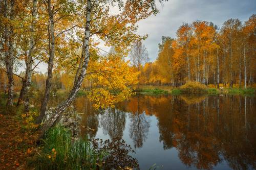 Осени краски багряные