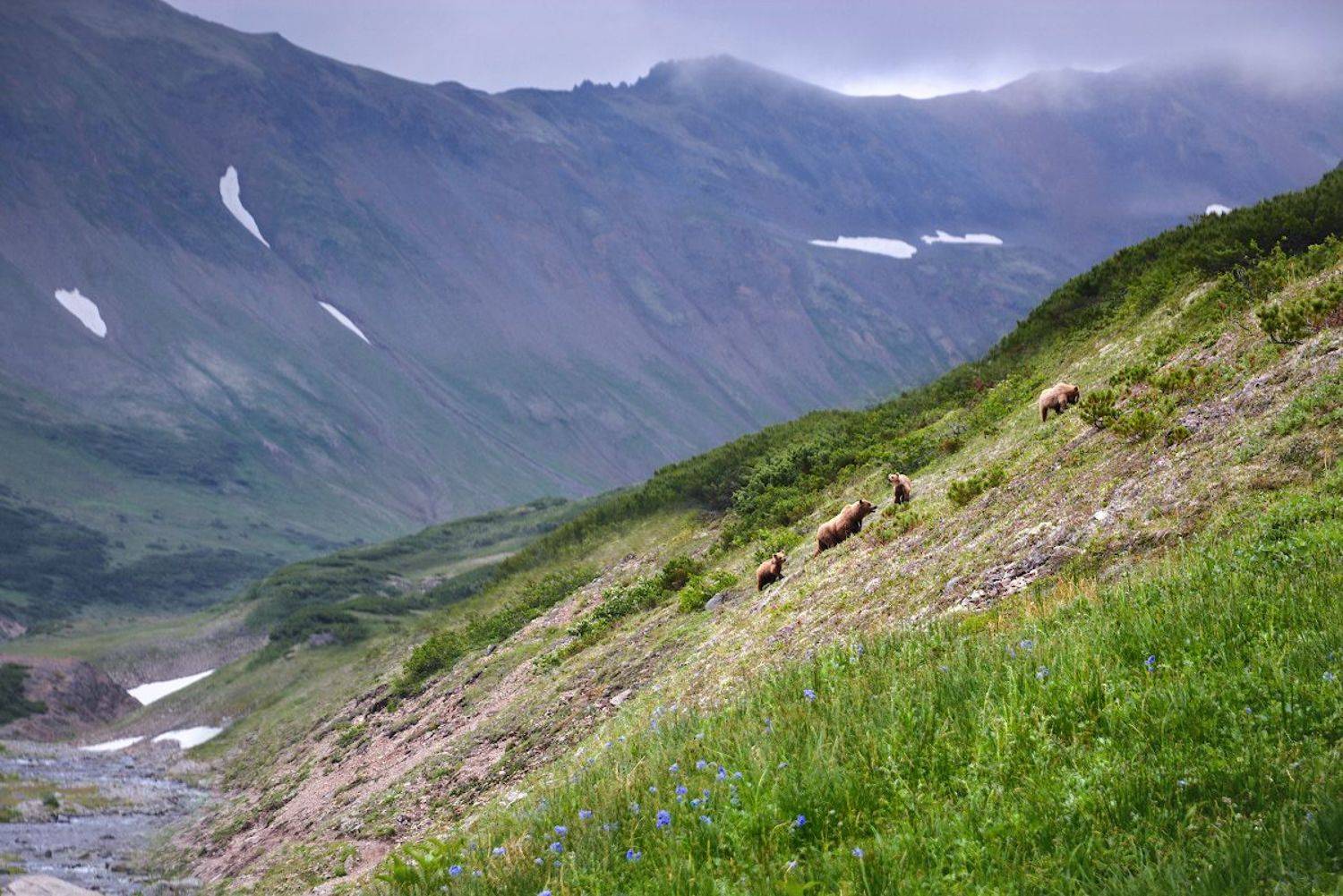 , Марина Никифорова