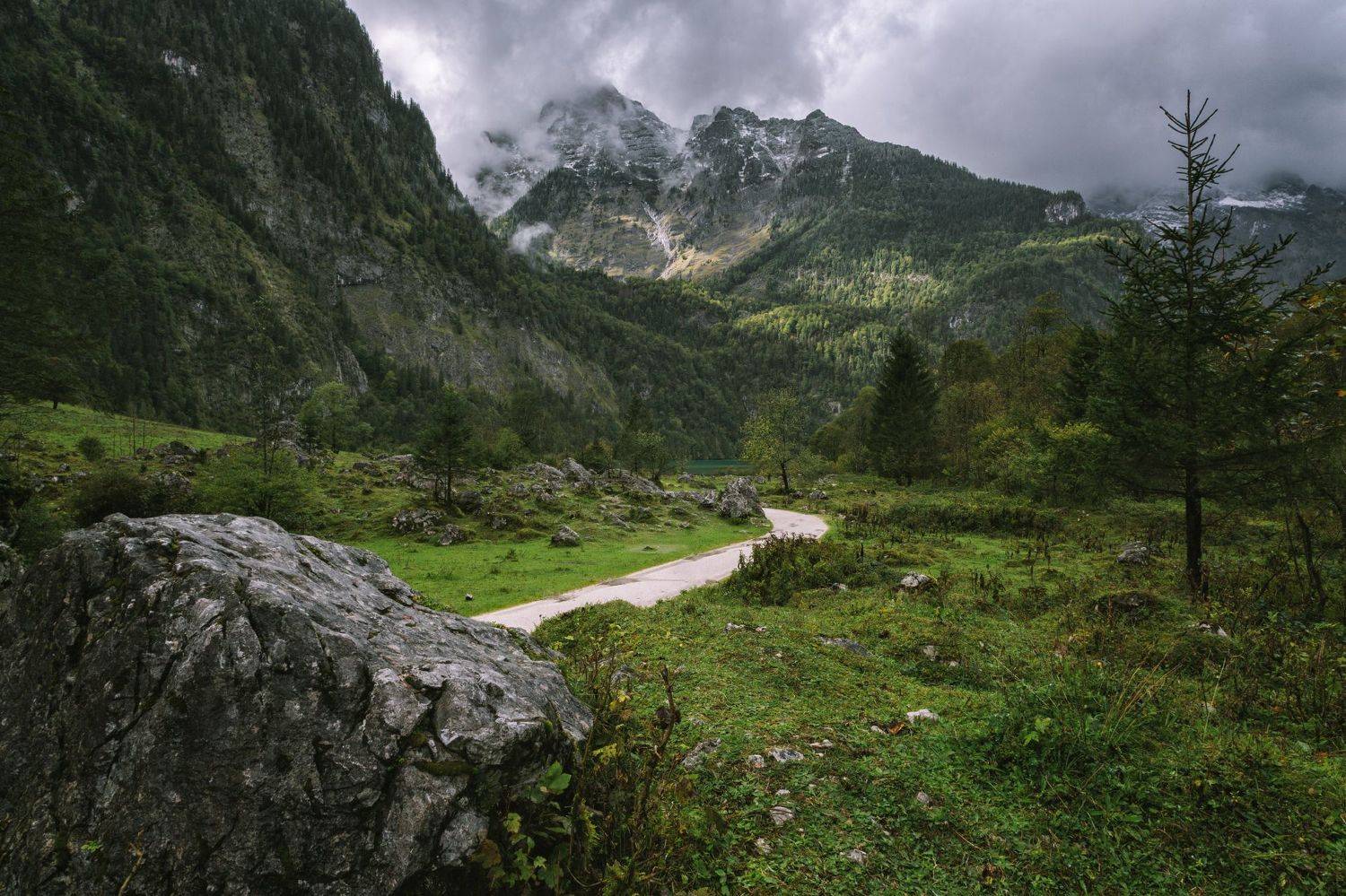 горы; лес; альпы; бавария;, Александр Удовиченко