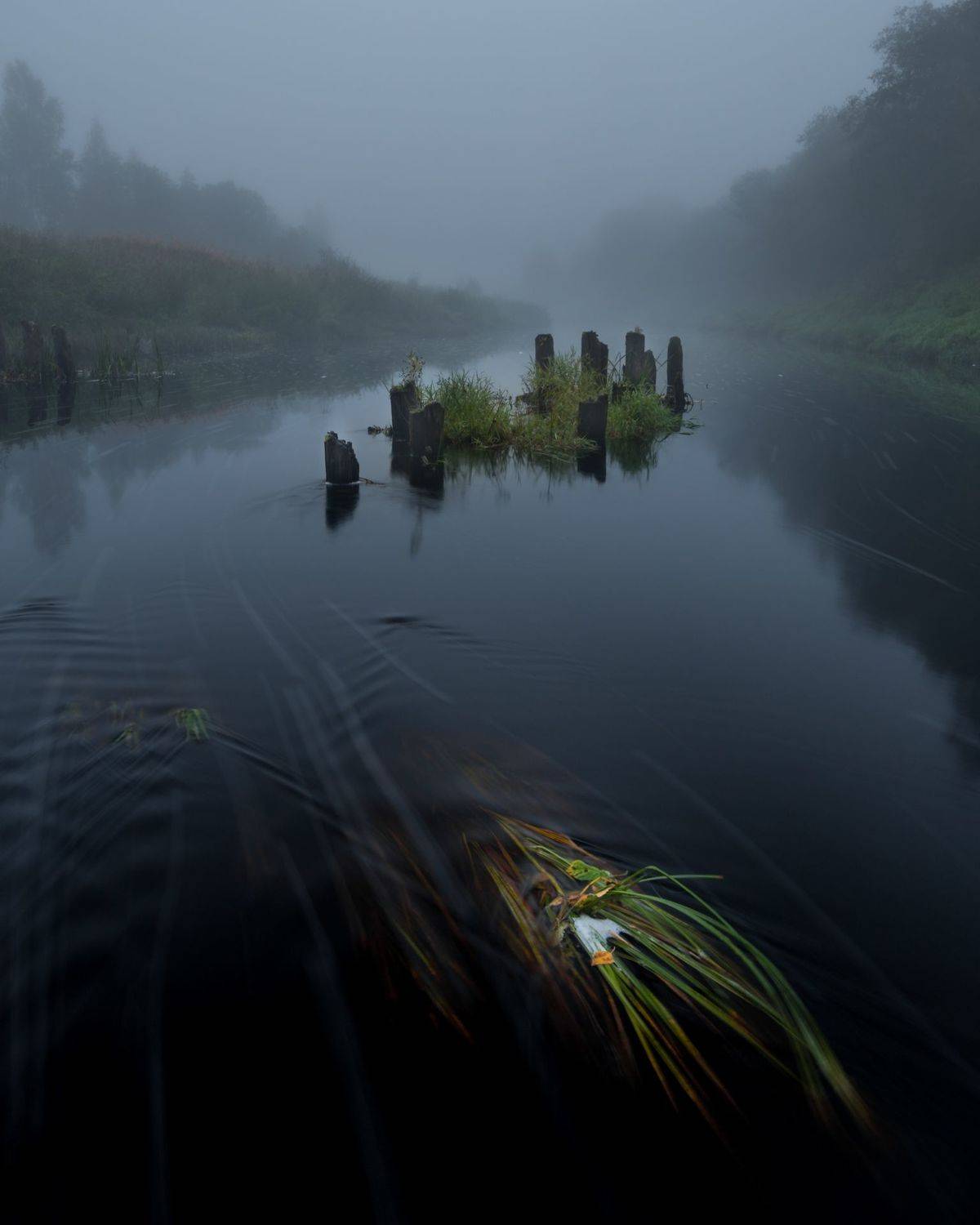 новгородская область, река, туман, утро, сентябрь, вишера, Роман Фабричный