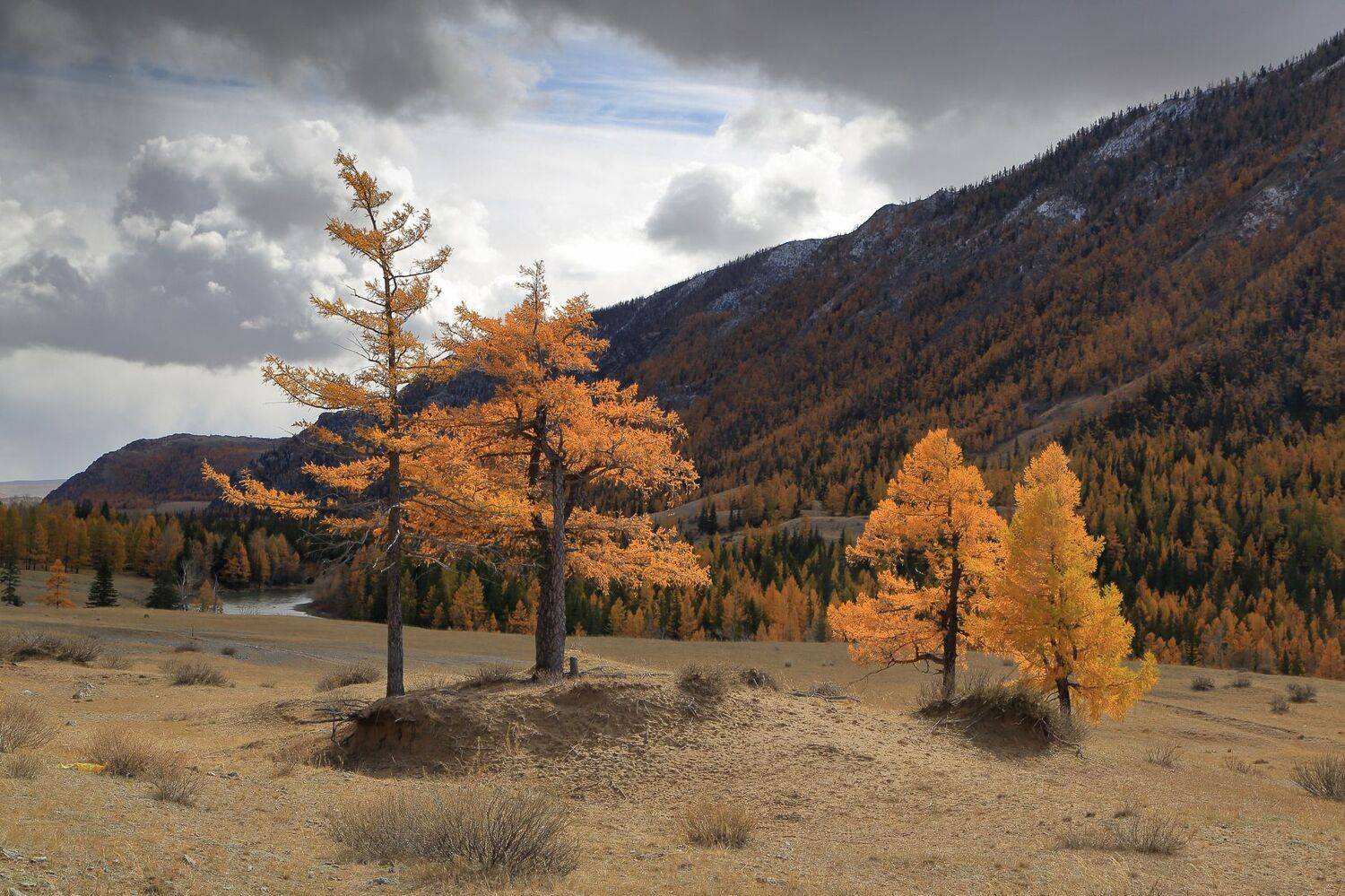 , Евгений Зинов
