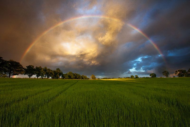лето удрия 2020 Лето фото превью