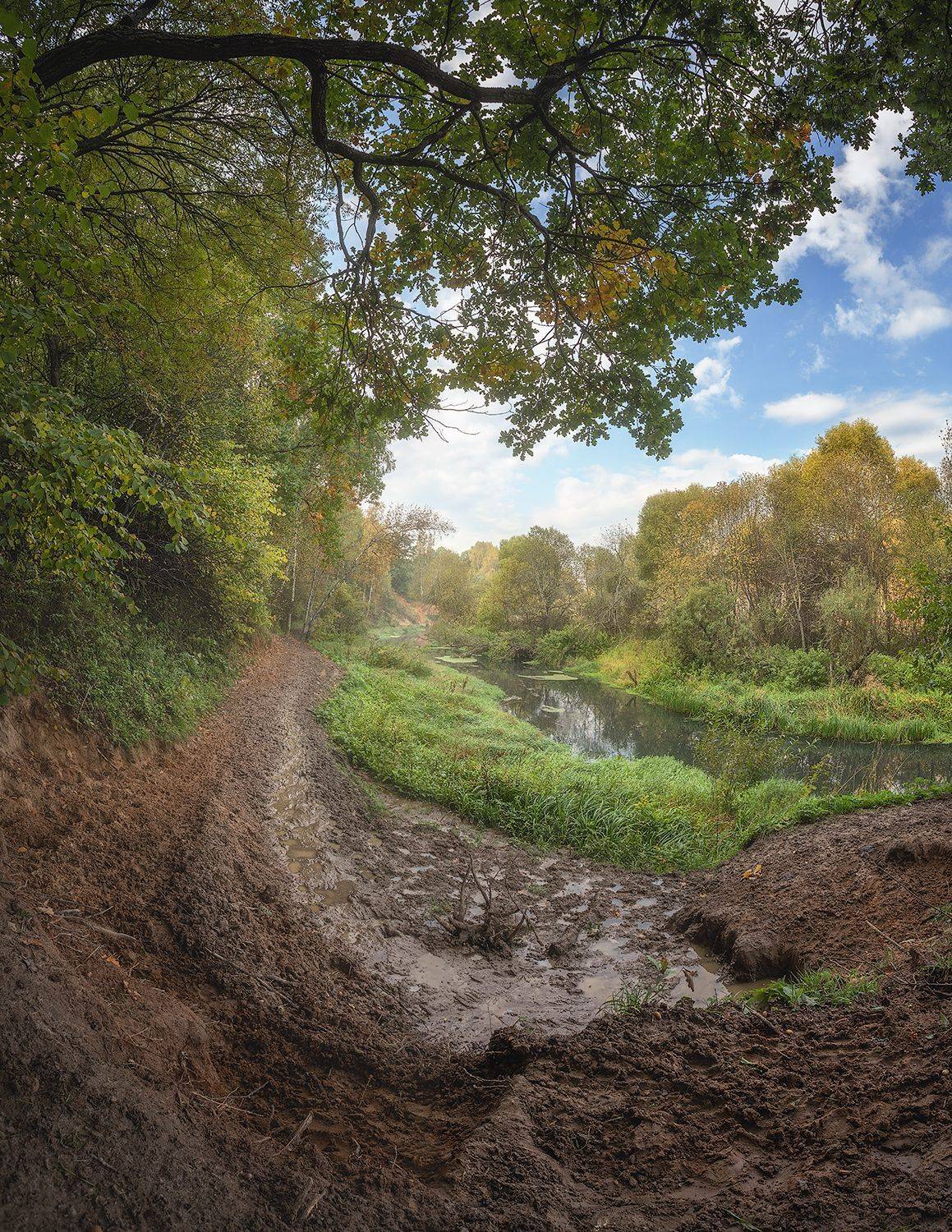 , Николай Андреев
