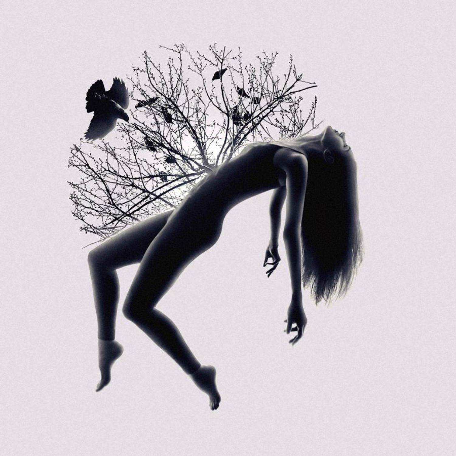 SURREAL,FANTASY,IMAGINATION,DREAM,DREAMING,DREAMY,WOMAN,GIRL,EDITED,MONTAGE,SURREALISM,PERSON,CREATIVE,ART,FINE ART,SILHOUETTE,TREE,BIRD,PIGEON,BIRTH,PHOTO MONTAGE,BIRDS,MINIMALISM, Nur Ernehir