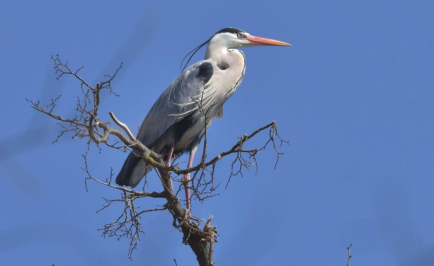 , Макеев Алексей