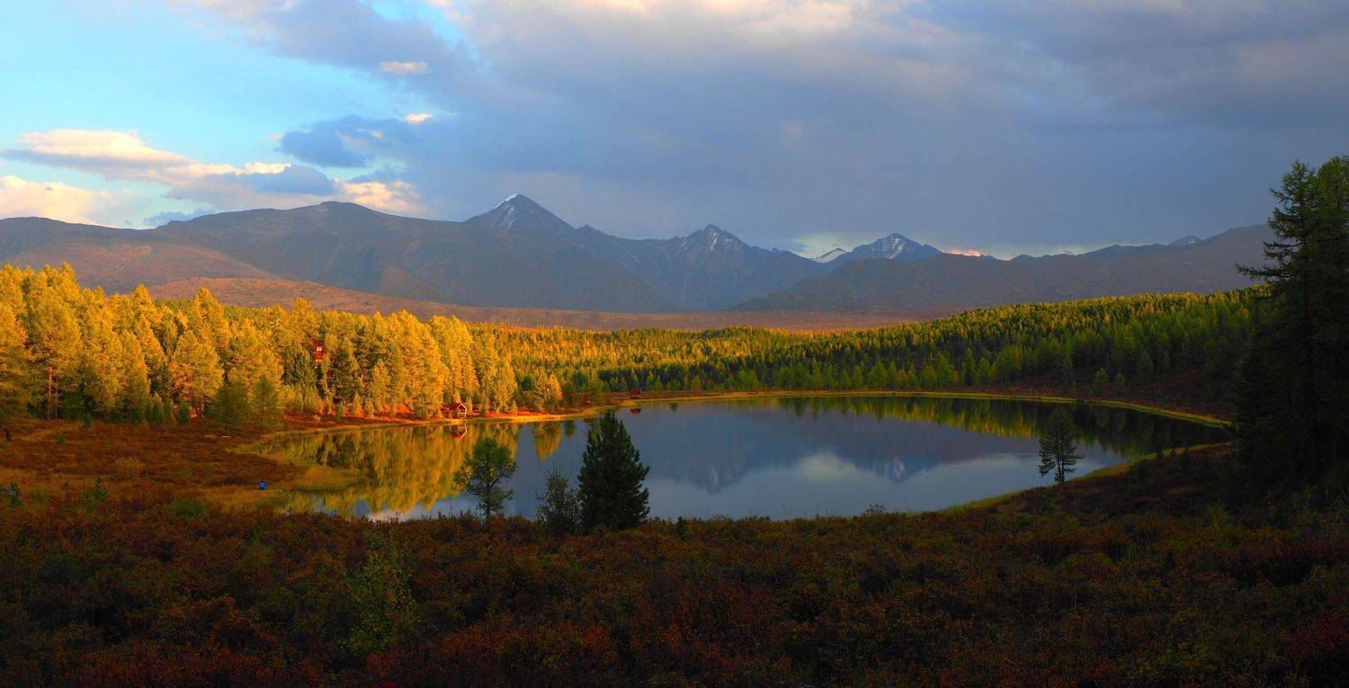 , Андрей Перешеин