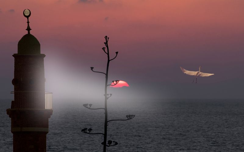 фото превью