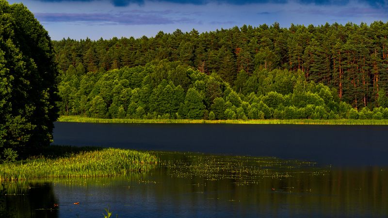 Przed burzą фото превью