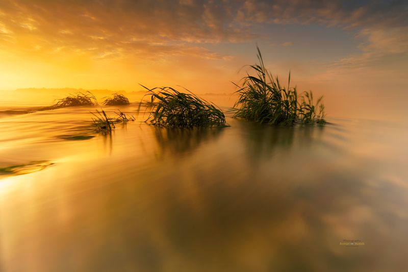 water, river, landscape, sunrise, fog, clouds, Water tales.  фото превью
