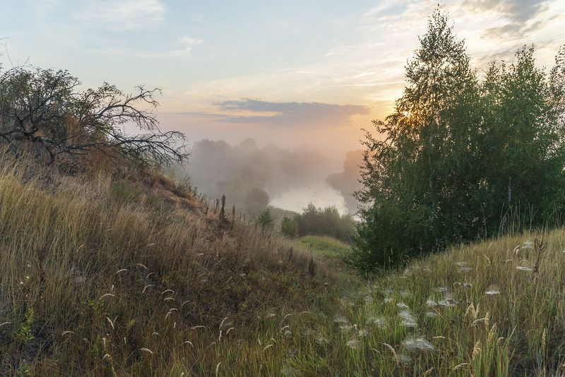 Засентябрило... фото превью
