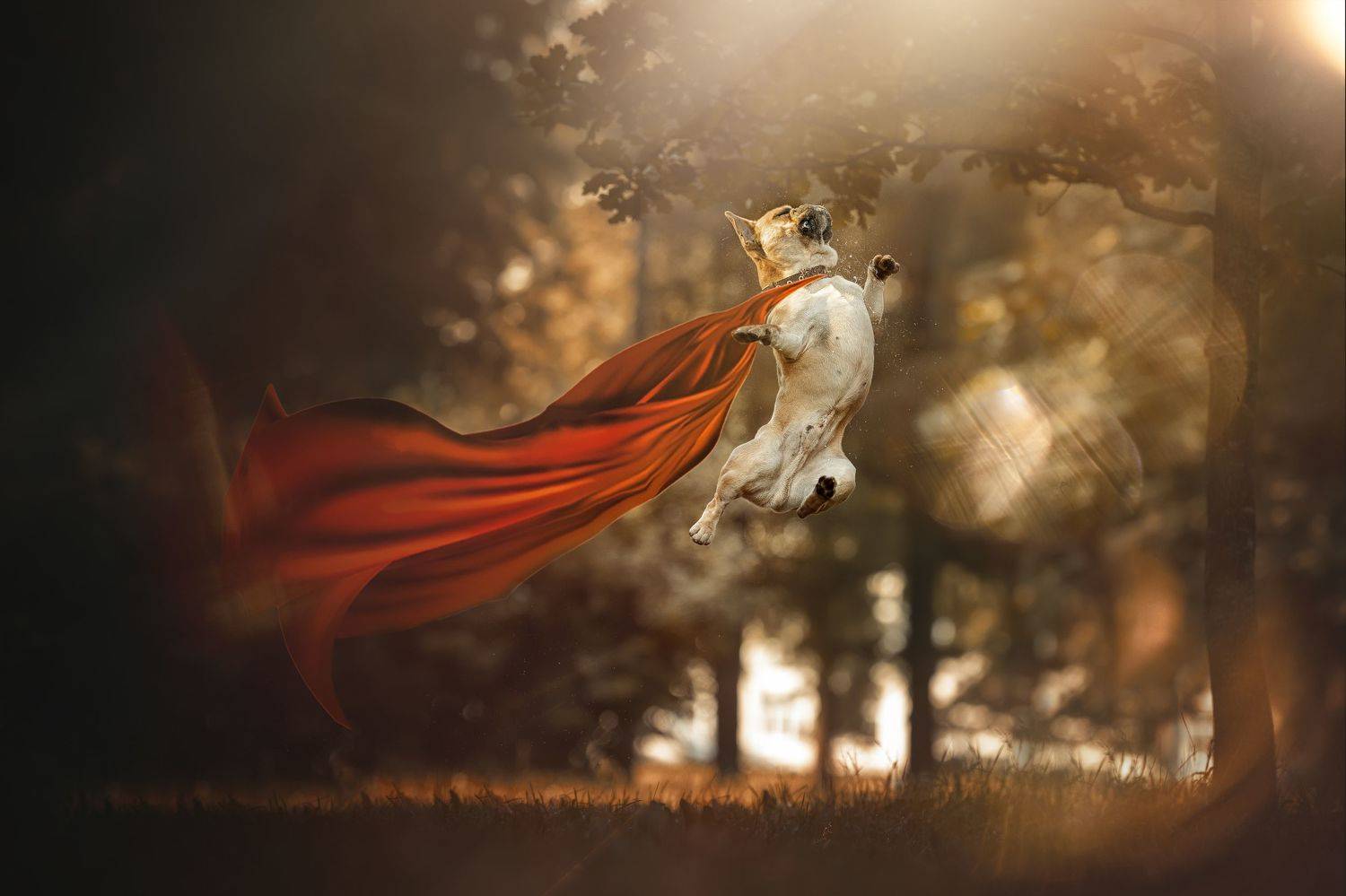 , Ольга Овчинникова