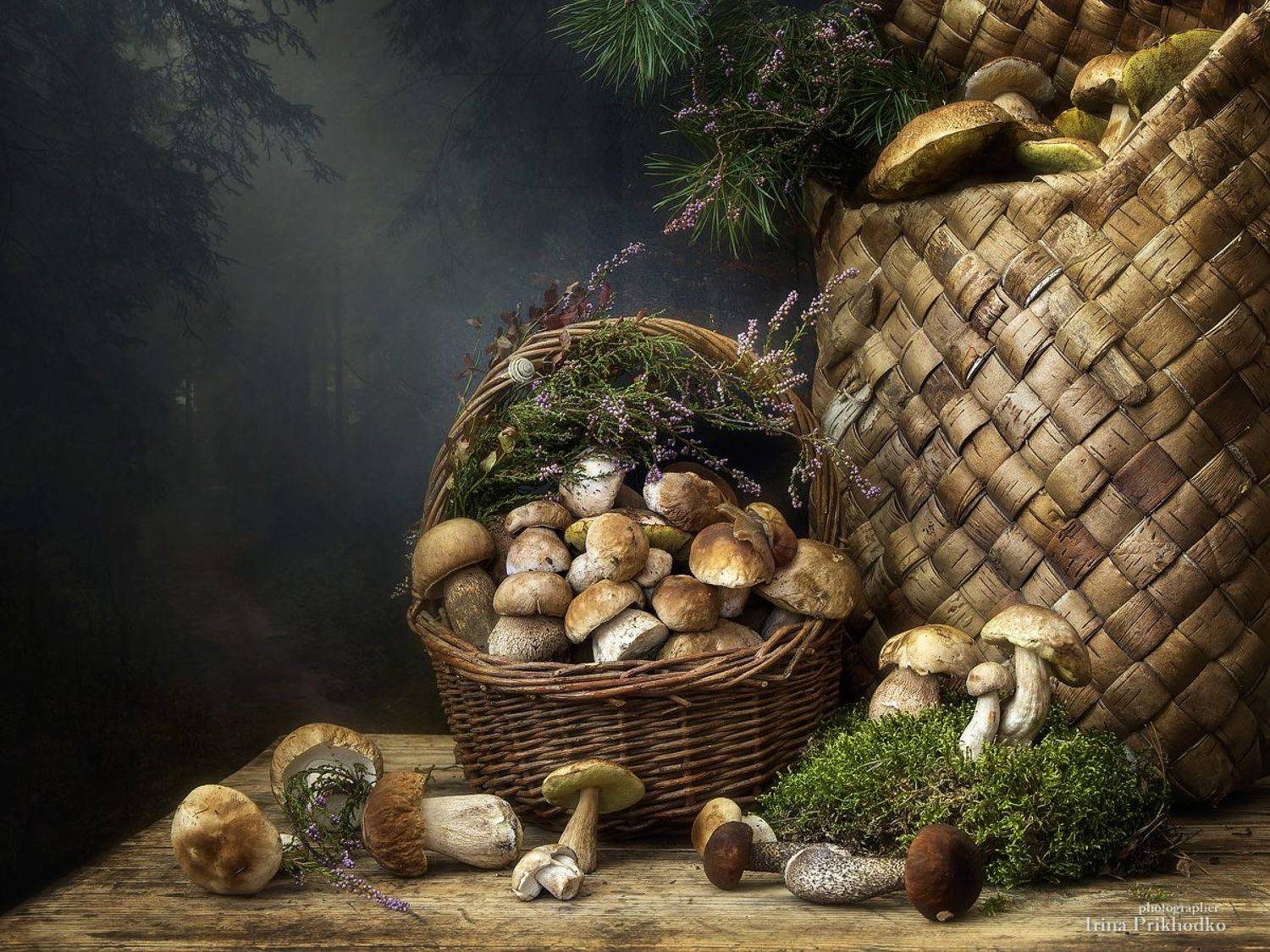 натюрморт, осень, грибы, лесные дары, корзины, фотокартина, Ирина Приходько