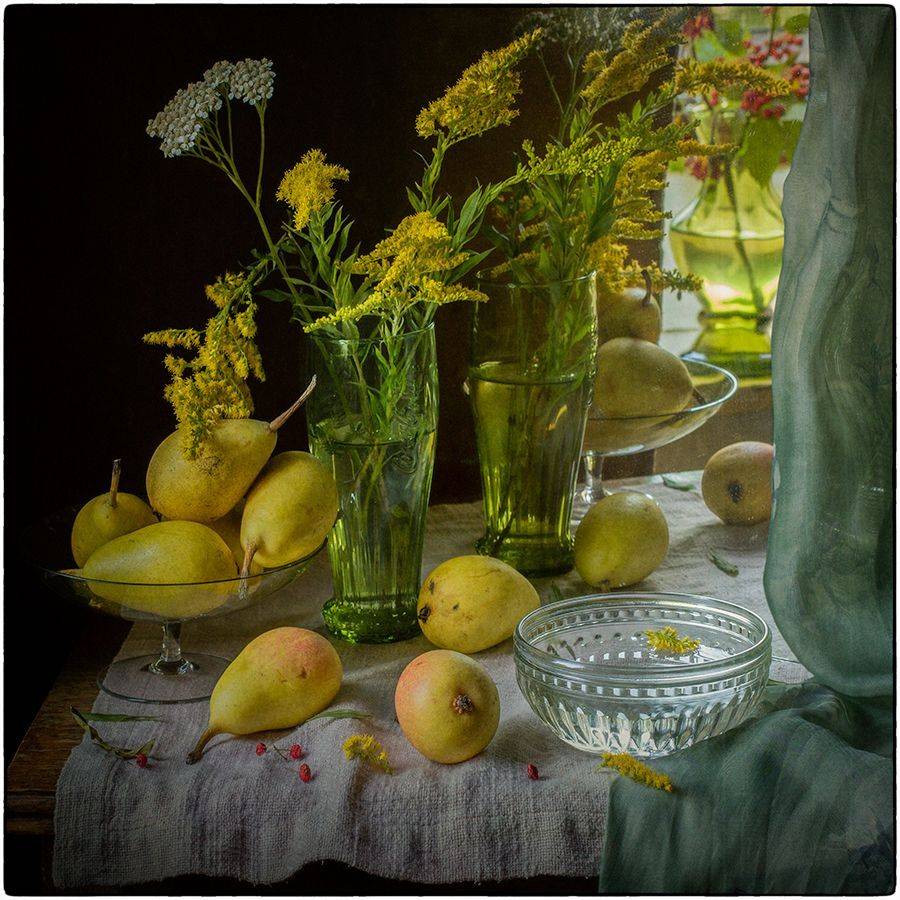 , Stein Georg