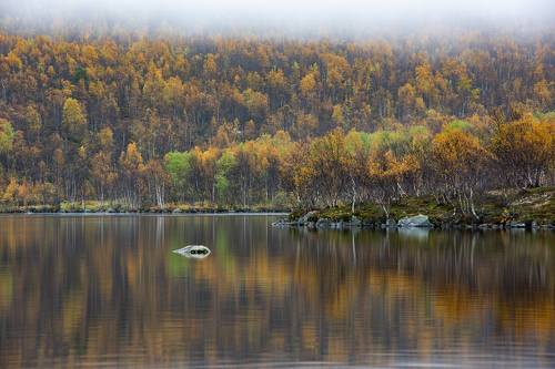 Осень в Мурманской области