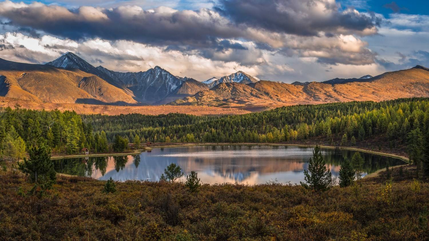 , Александр Казин