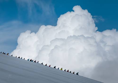 Кто шагает дружно в ряд