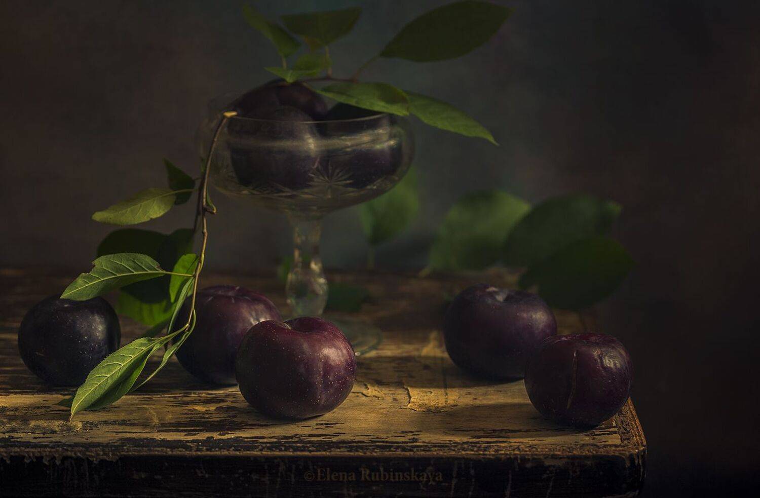 , Елена Рубинская