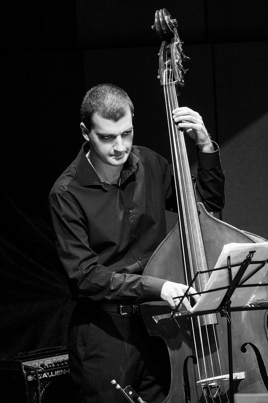 музыкант, контрабас *** фото превью